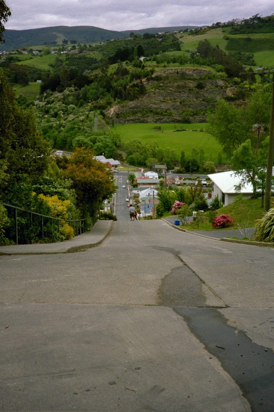 Baldwin Street Dunedin from top