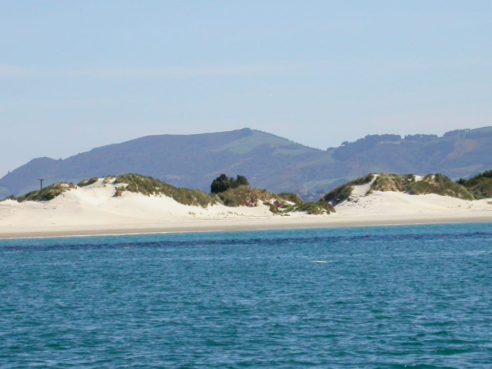 Otago Peninsula countryside