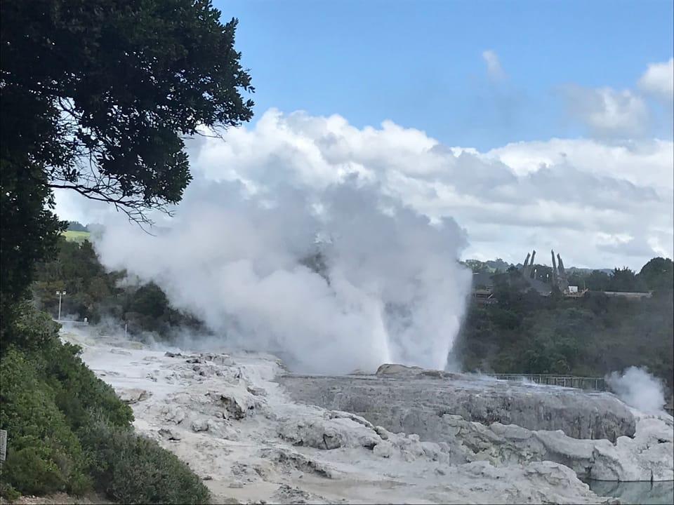 Pohutu Geyser Rotorua