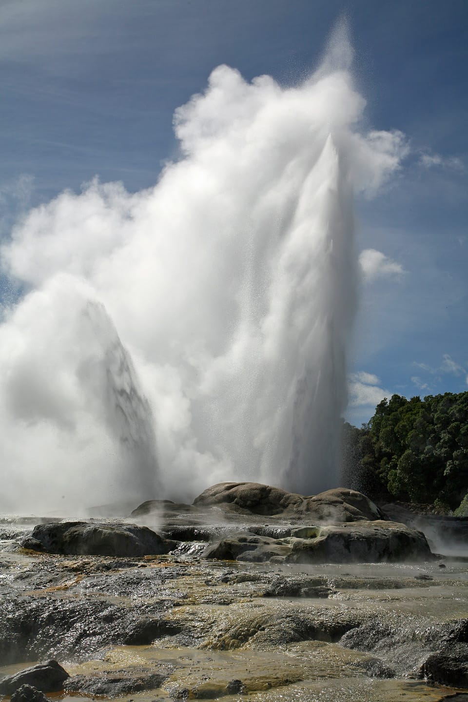 Whakarewarewa thermal reserve Rotorua