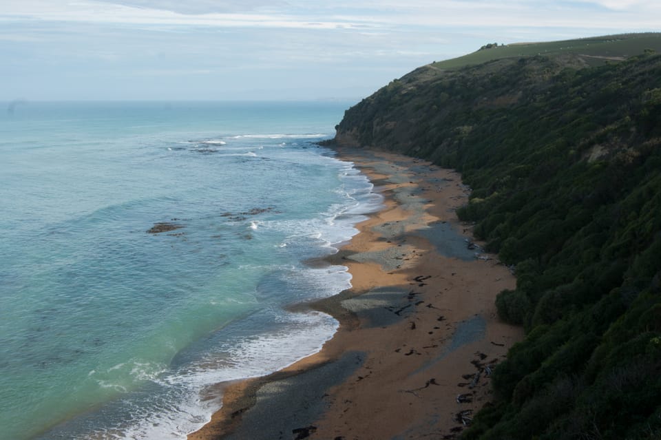 Bushy Beach Oamaru