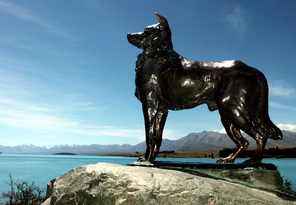 Sheepdog memorial at Lake Tekapo