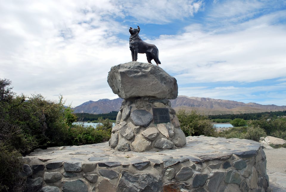 Lake Tekapo sheepdog statue
